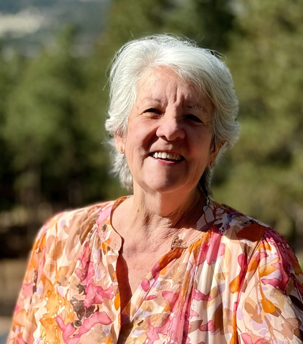 palmer lake arts council, PLAC, arts council